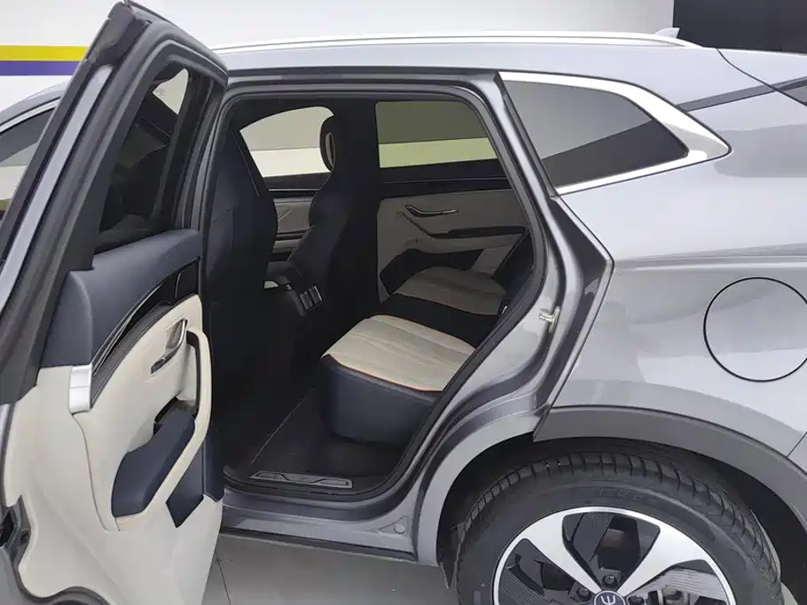 BYD Song PLUS New Energy 2023 — фото 11