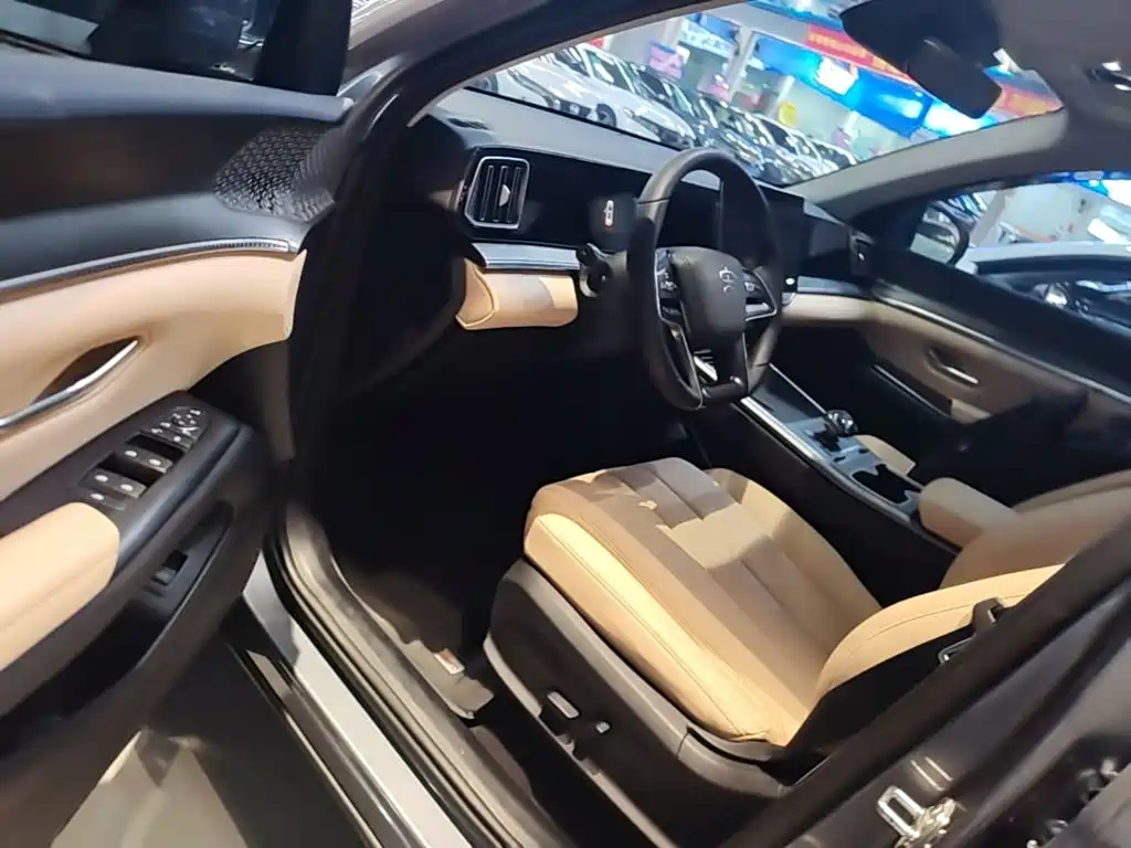 BYD Song Pro New Energy 2025 — фото 16