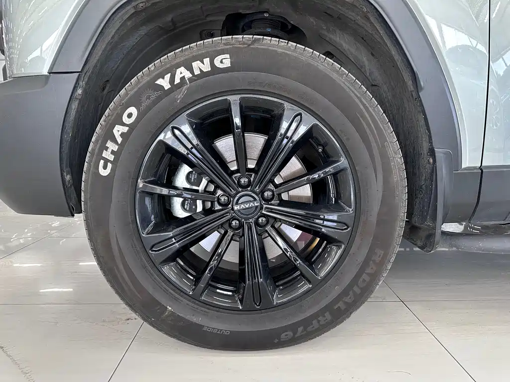 Haval Raptors New Energy 2025 — фото 9