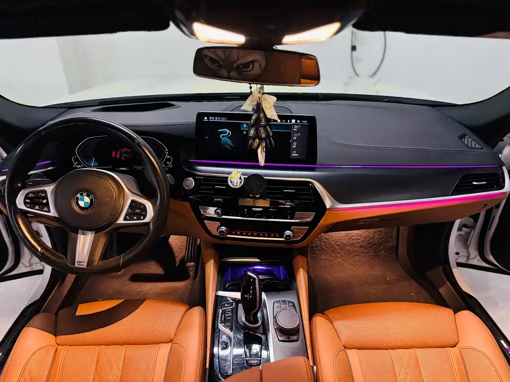 BMW 5 Series New Energy 2020