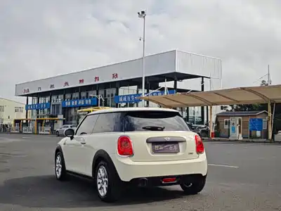 MINI MINI 2018