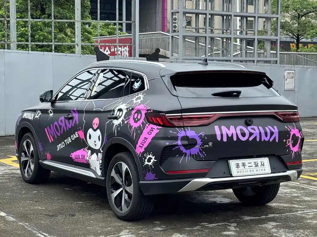 BYD Song PLUS New Energy 2022 — фото 11