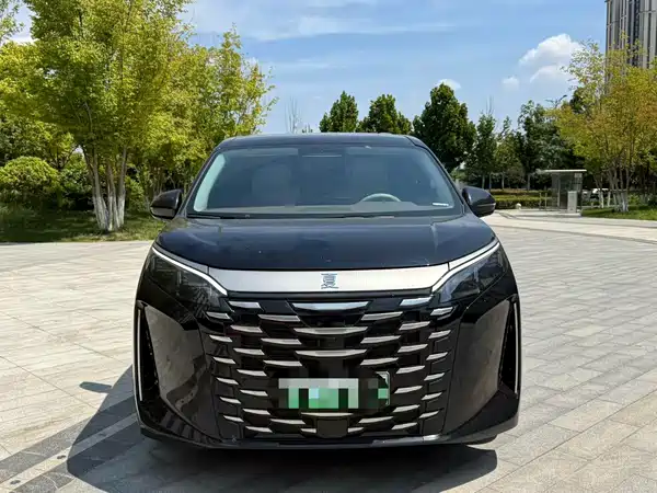 BYD Summer 2025