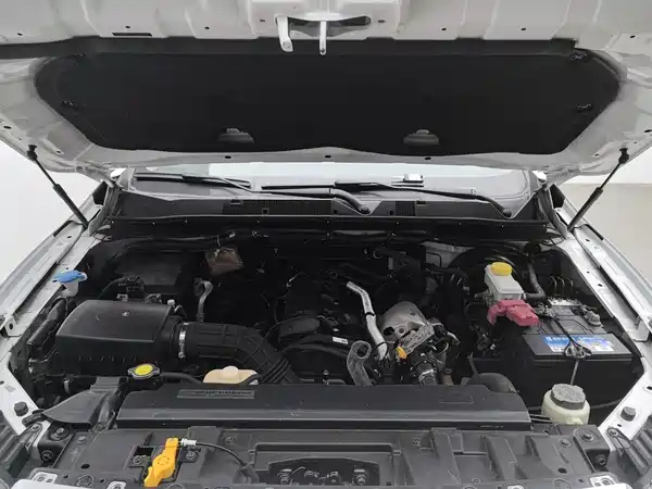 Dongfeng Palasso 2021