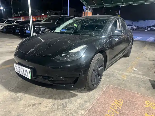 Tesla Model 3 2021