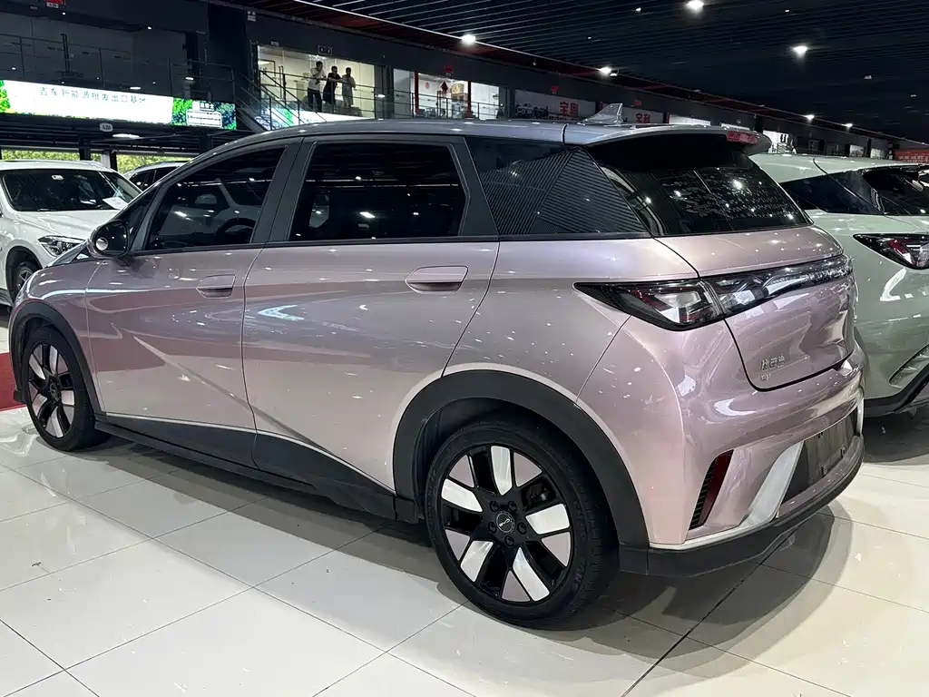 BYD Dolphin 2021