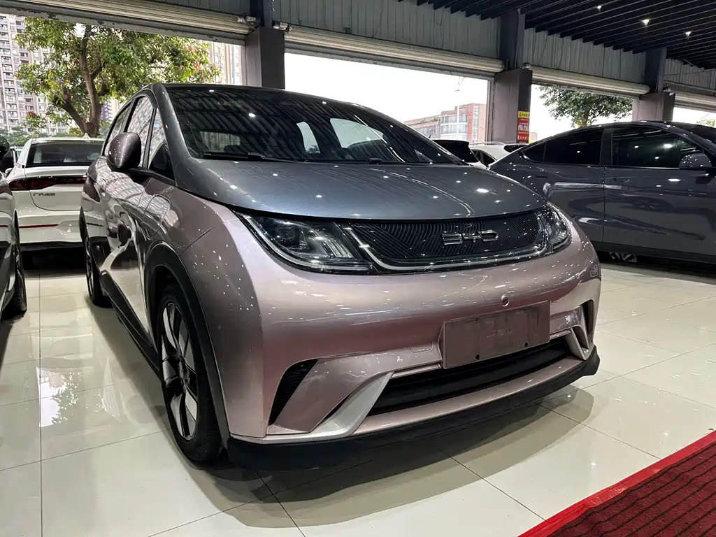 BYD Dolphin 2021