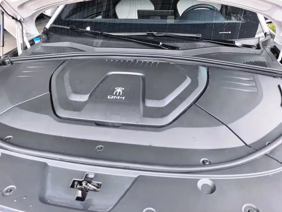 BYD Song PLUS New Energy 2022 — фото 10