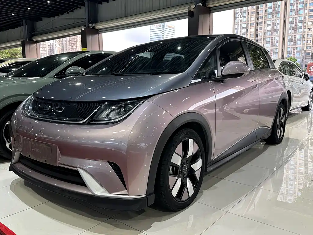 BYD Dolphin 2021