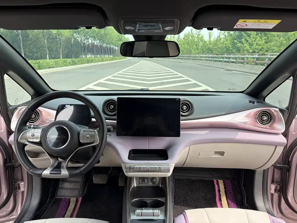BYD Dolphin 2021