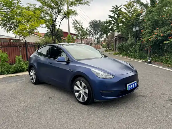 Tesla Model Y 2021