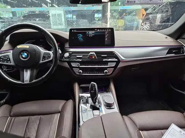 BMW 5 Series New Energy 2020