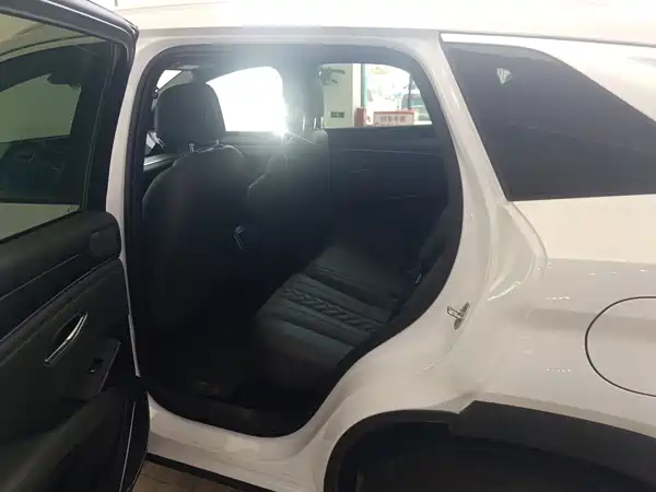 BYD Song L DM-i 2025