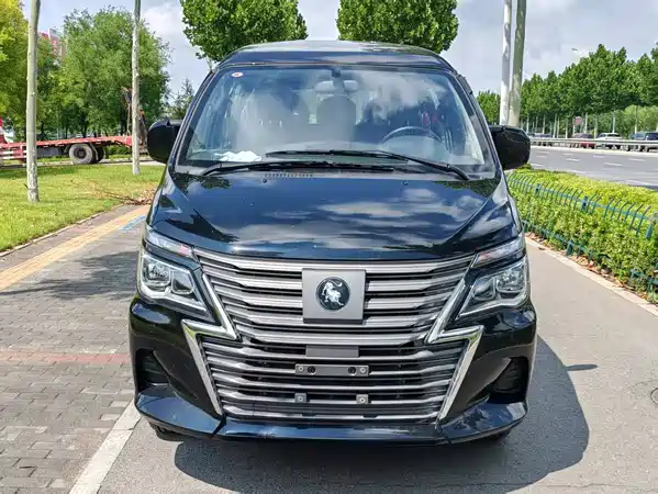 Dongfeng Lingzhi New Energy 2026