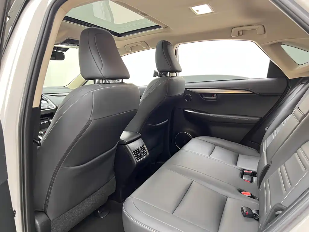 Lexus NX 2020 — фото 19