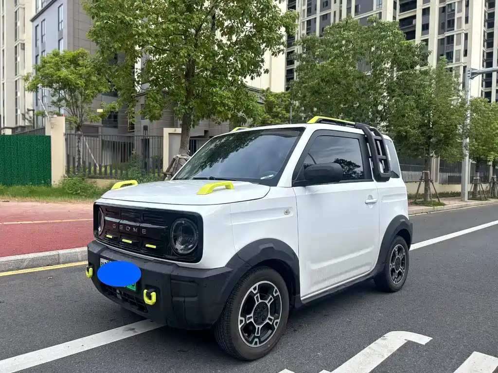 Geely Galaxy Panda 2024