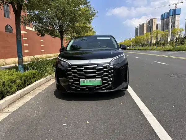 BYD Summer 2025