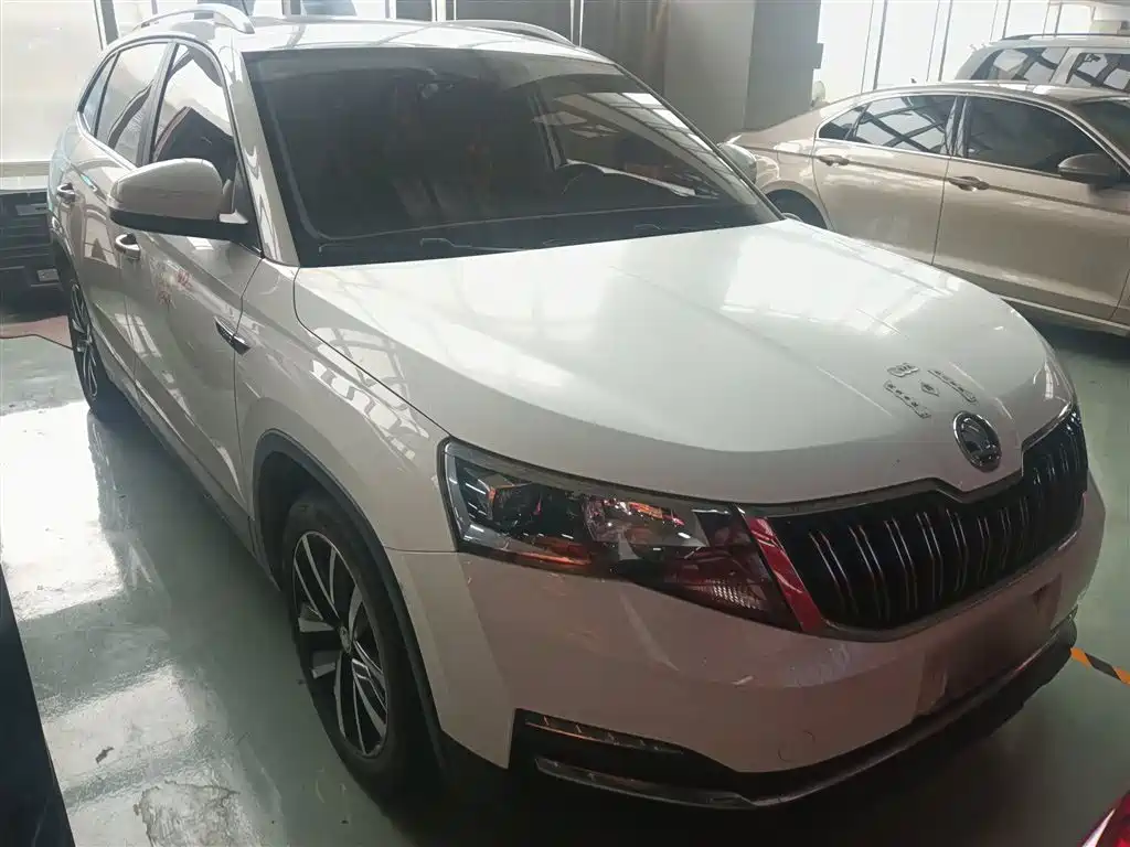 Skoda Kamiq 2021 — фото 22