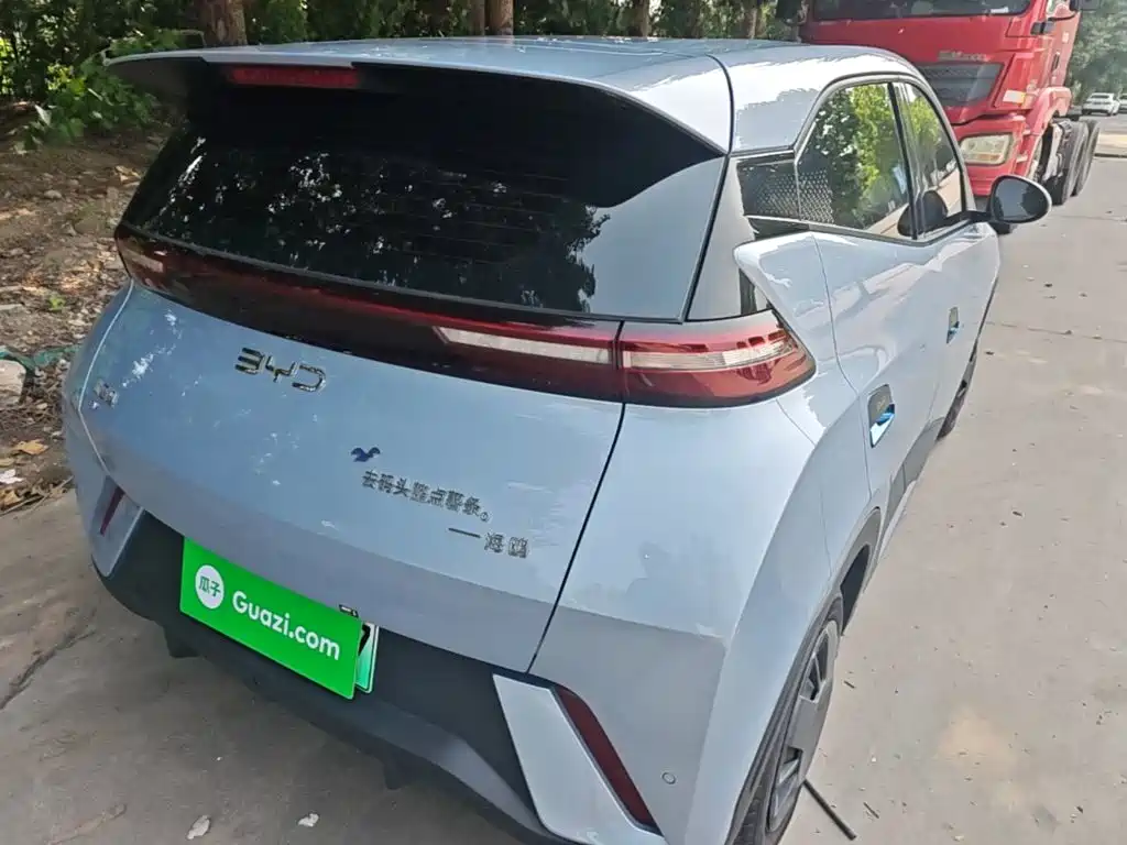 BYD Seagull 2024
