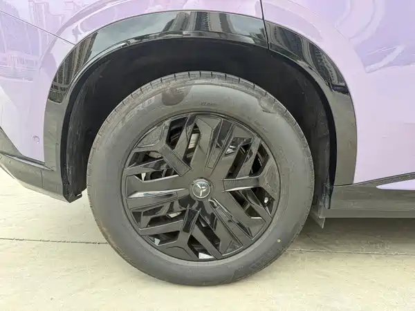 Hongqi Tiangong 08 2025