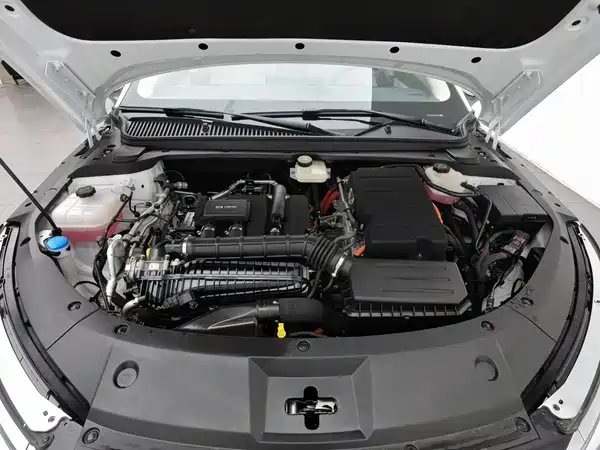 BYD Qin L 2024