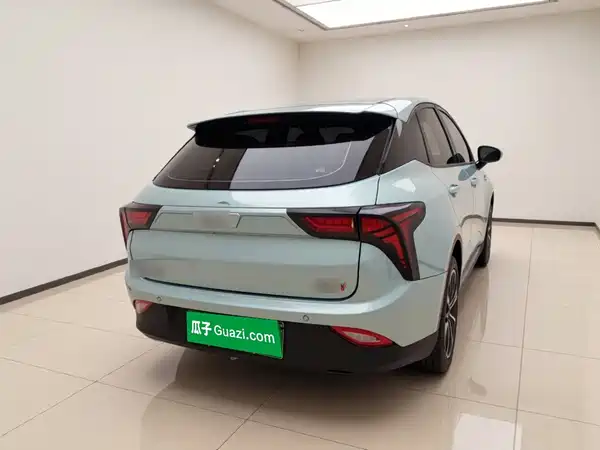 Neta V 2021