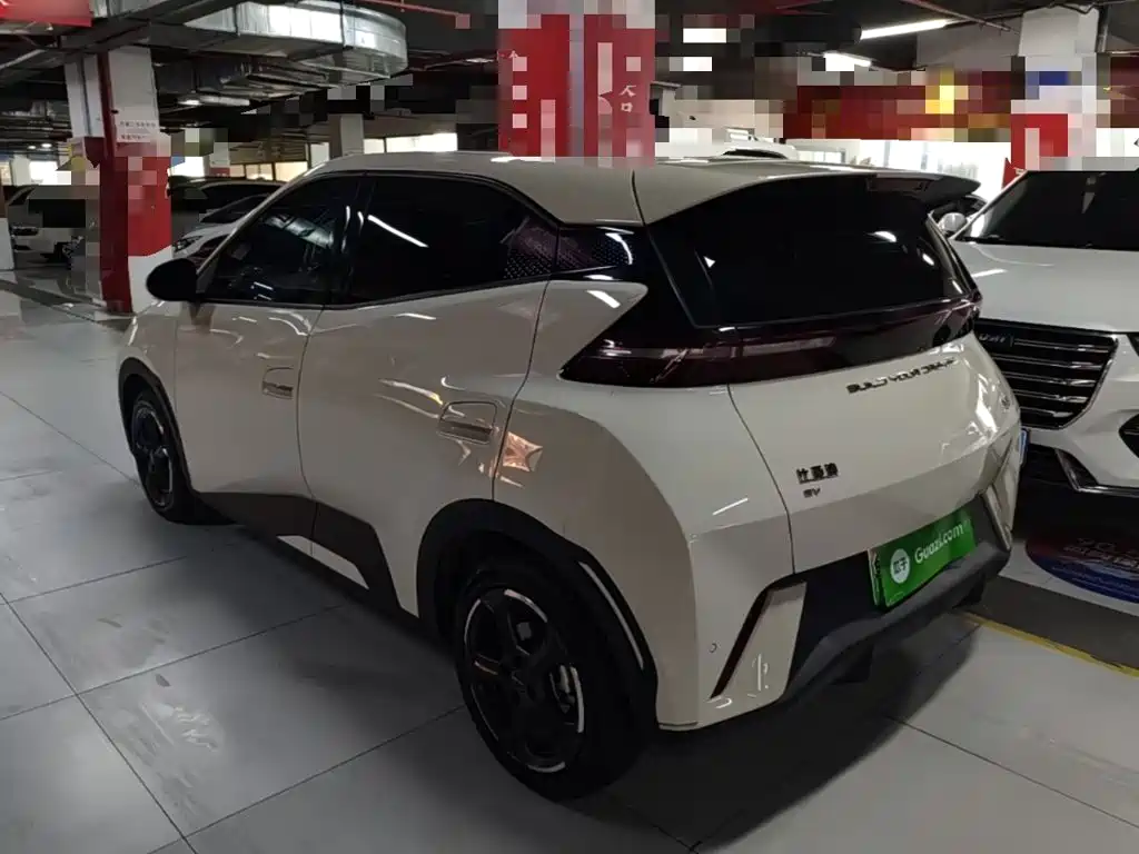 BYD Seagull 2024