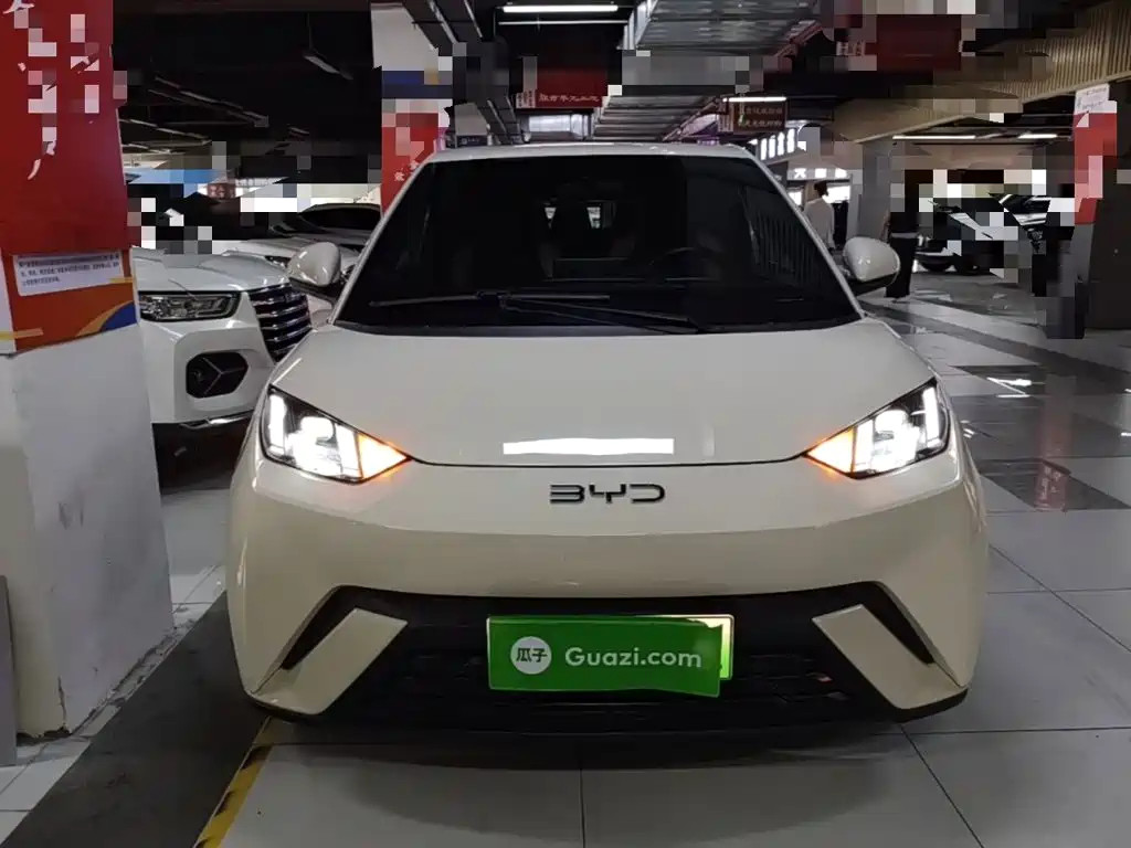 BYD Seagull 2024