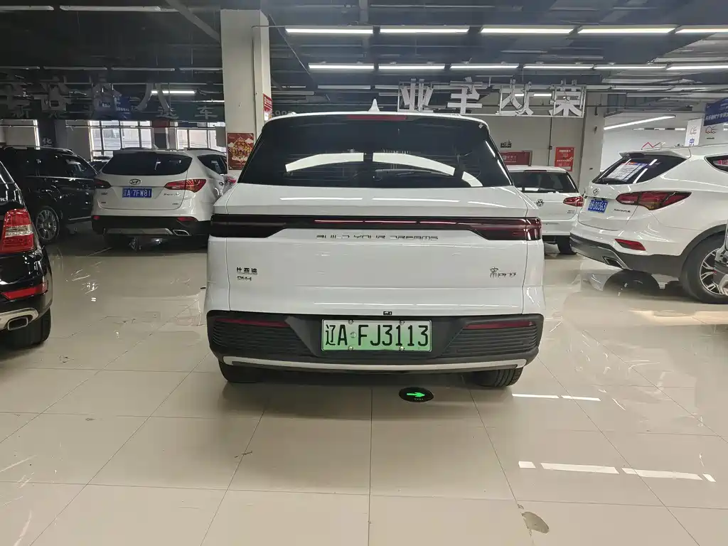 BYD Song Pro New Energy 2025 — фото 4