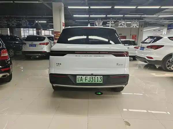 BYD Song Pro New Energy 2025