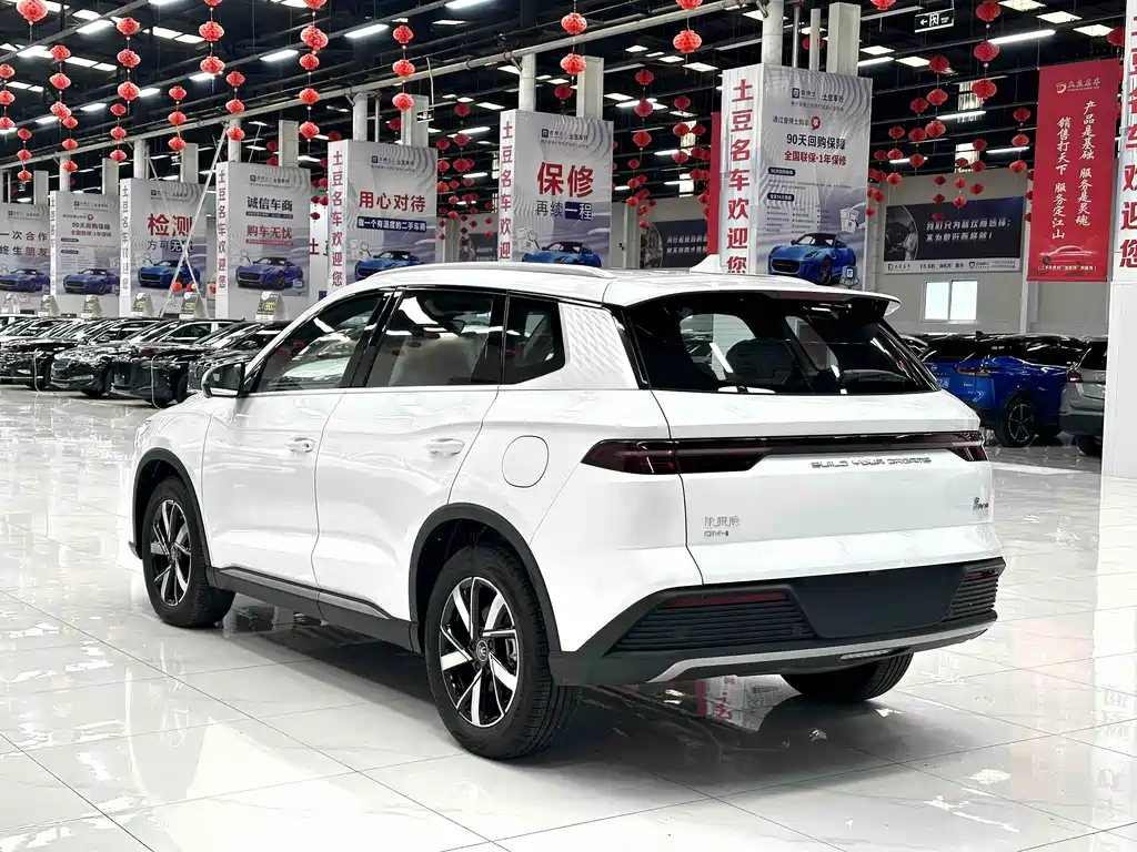 BYD Pro New Energy 2025 — фото 4