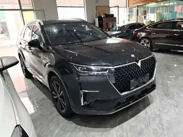 Venucia Star 2020