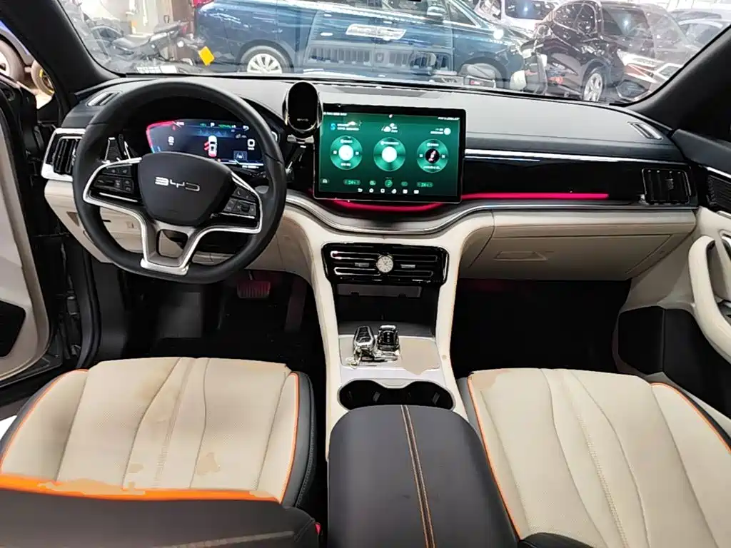 BYD Song PLUS New Energy 2024 — фото 10
