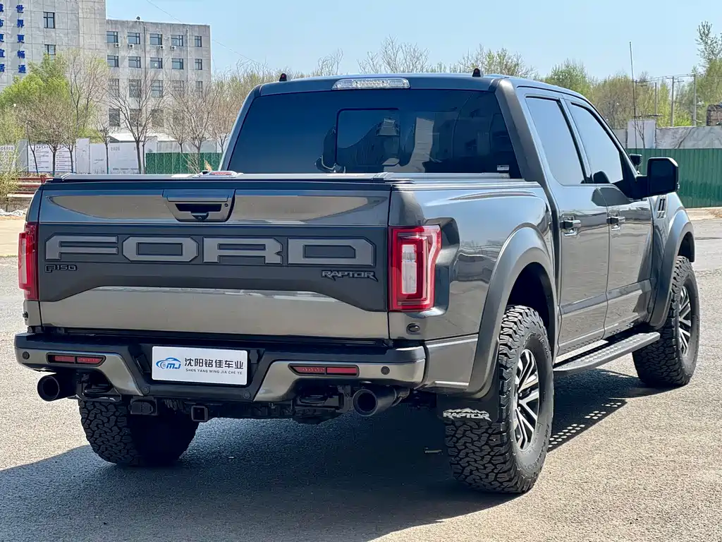Ford F-150 Raptor 2019 — фото 16