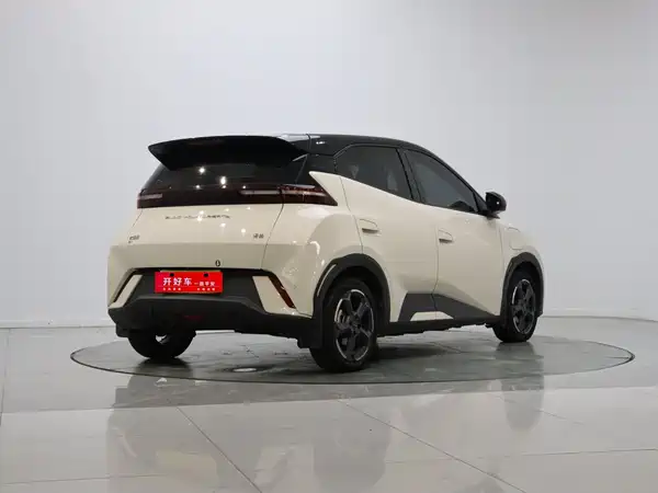 BYD Seagull 2024