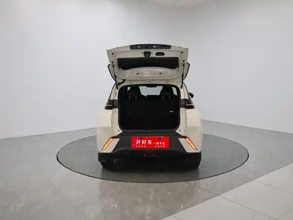 BYD Seagull 2024