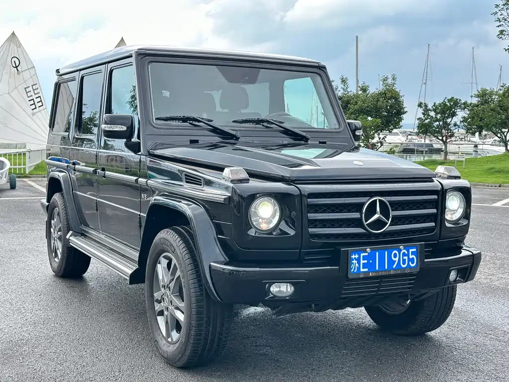 Mercedes-Benz G-Class 2010 — фото 3