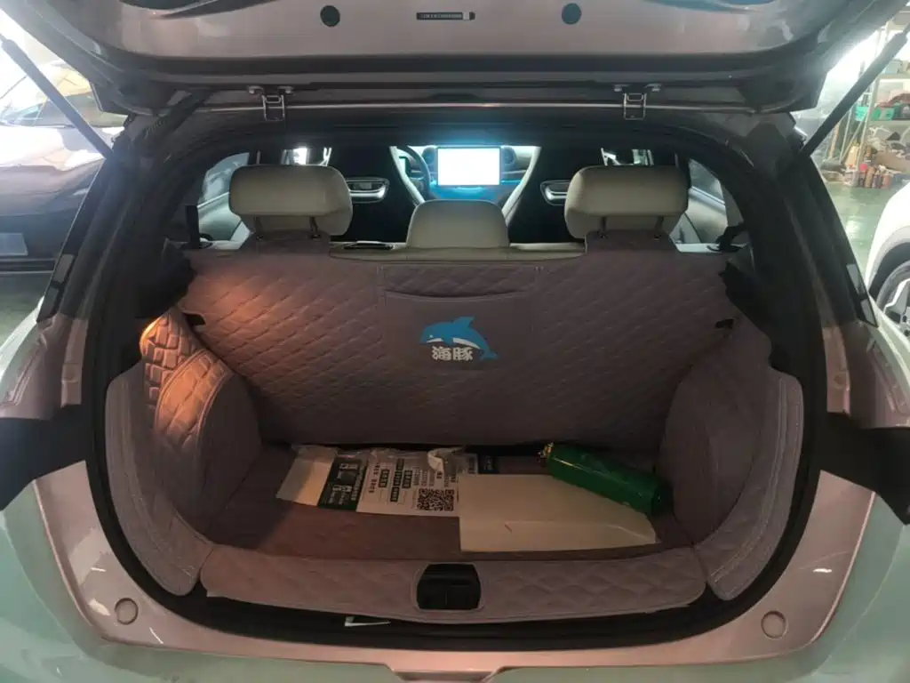 BYD Dolphin 2023 — фото 19
