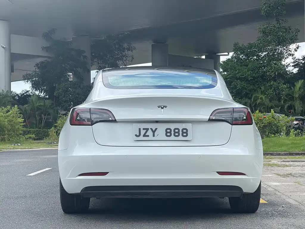 Tesla Model 3 2019