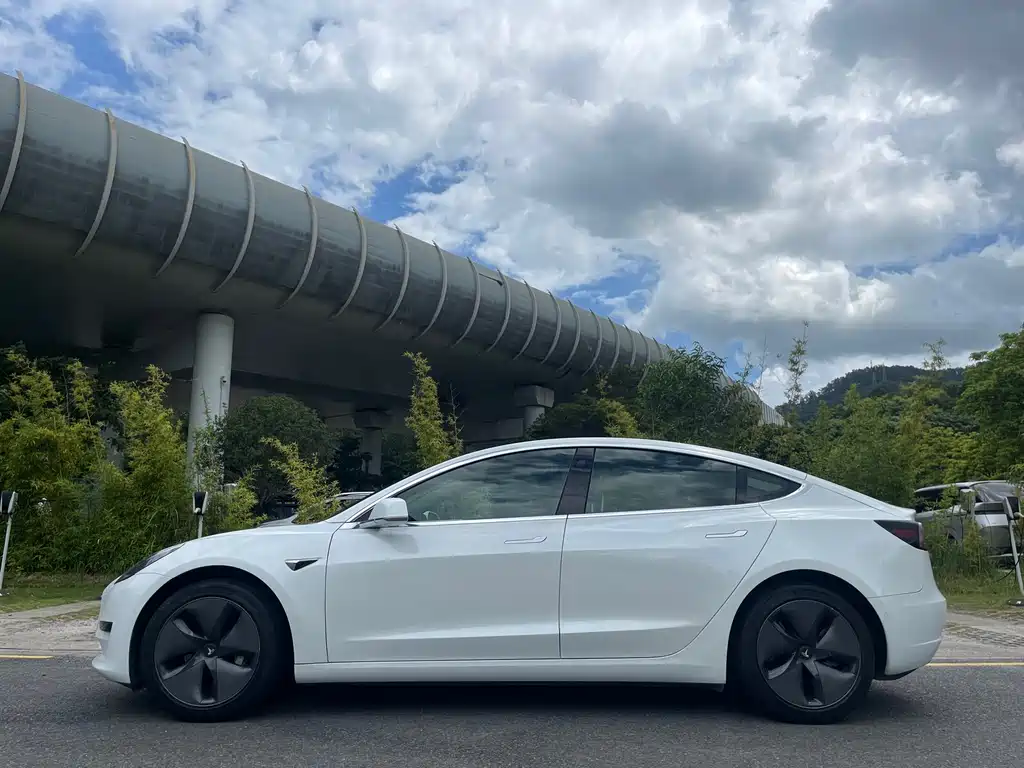 Tesla Model 3 2019