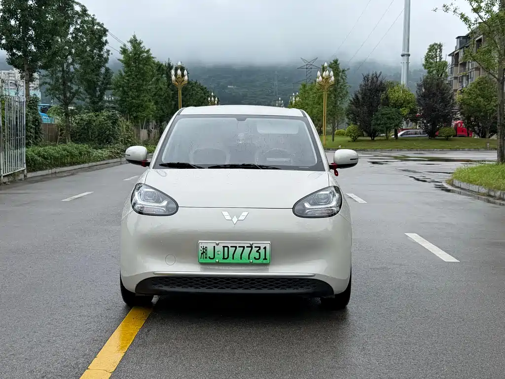 Wuling Bingo 2024