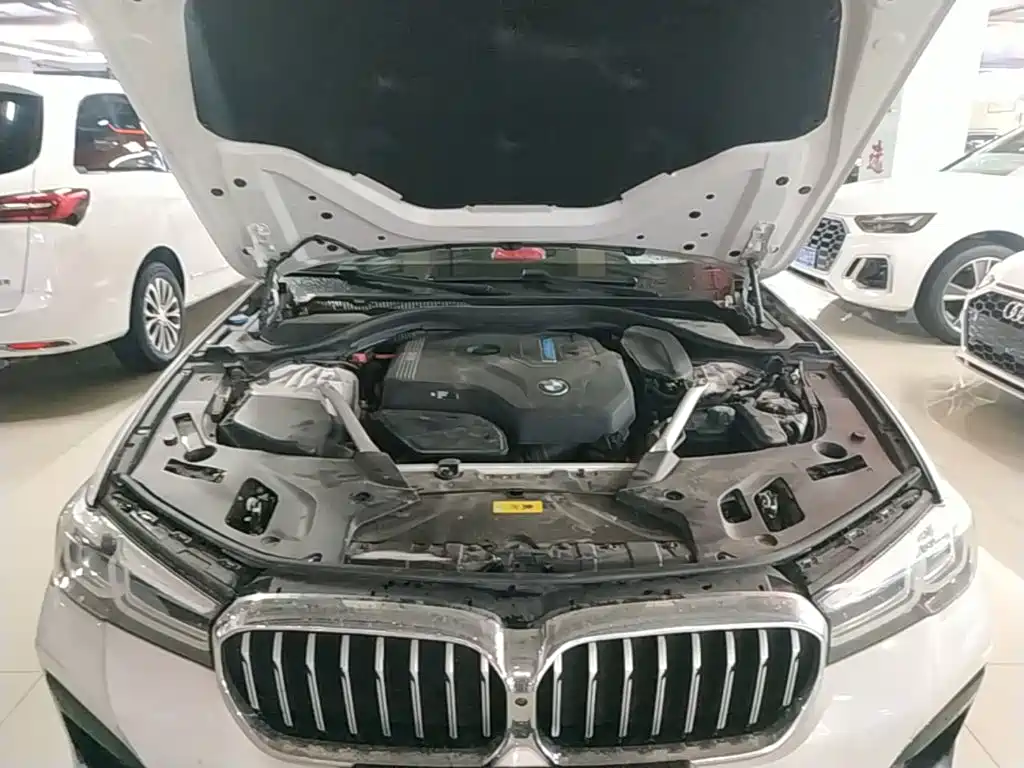 BMW 5 Series New Energy 2021 — фото 16
