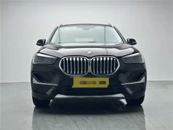 BMW X1 New Energy 2020