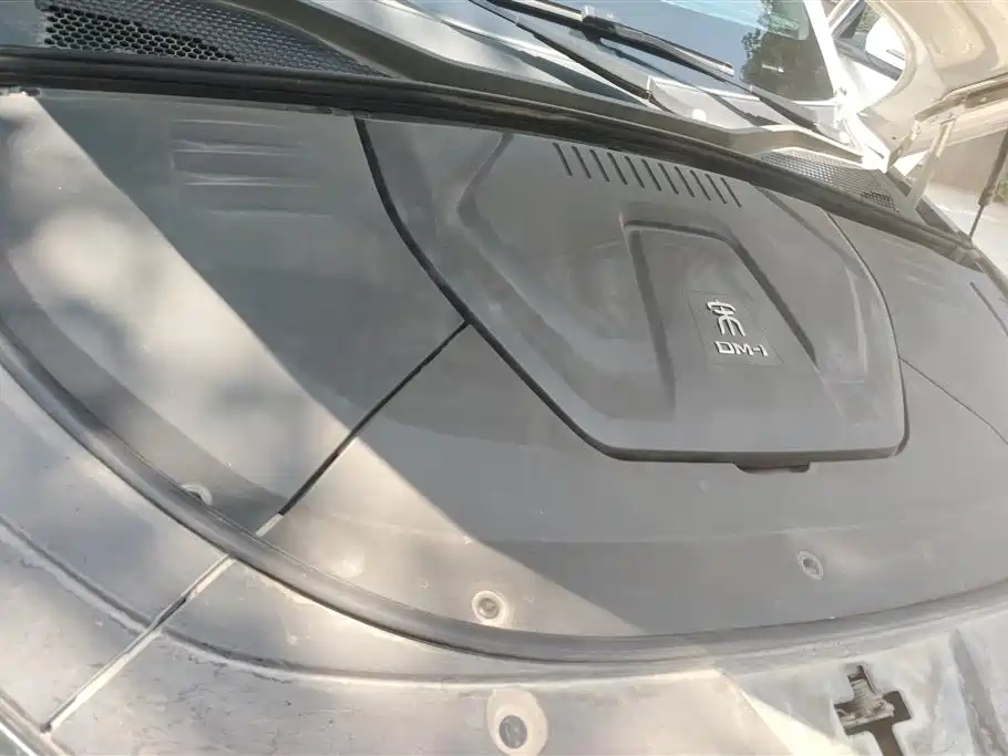 BYD PLUS New Energy 2022 — фото 10