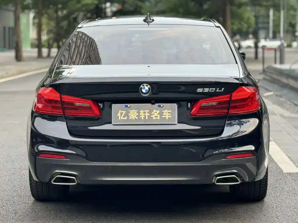 BMW 5 Series 2019 — фото 6
