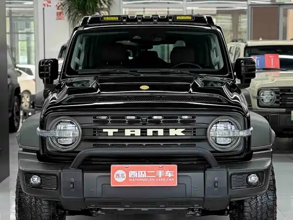 Tank 300 2025