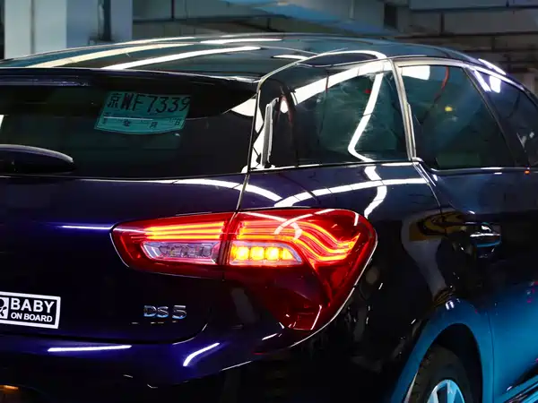 DS 5 2013