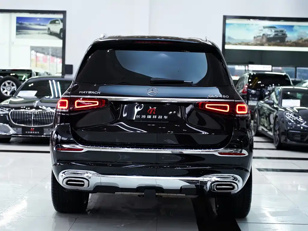 Mercedes-Benz GLS 2022 — фото 18