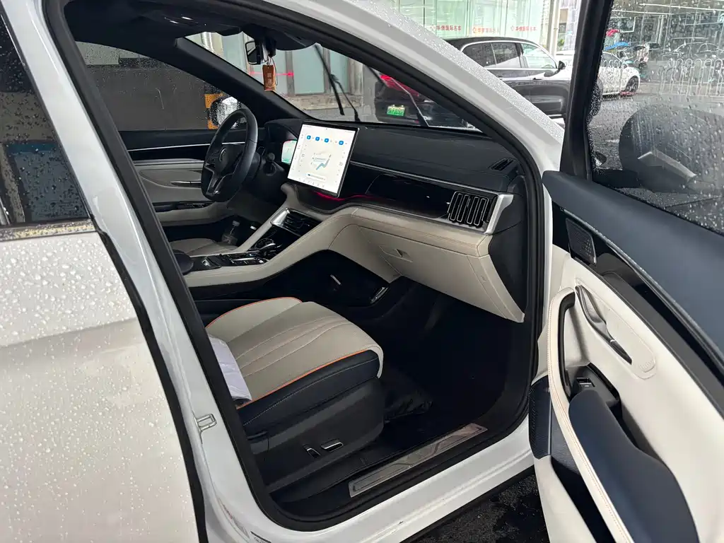 BYD PLUS New Energy 2022 — фото 7