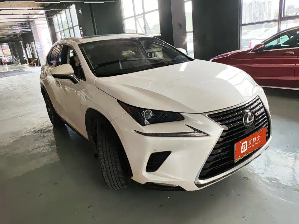 Lexus NX 2020 — фото 2